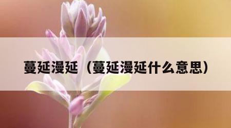 蔓延漫延（蔓延漫延什么意思）