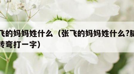 张飞的妈妈姓什么（张飞的妈妈姓什么?脑筋急转弯打一字）