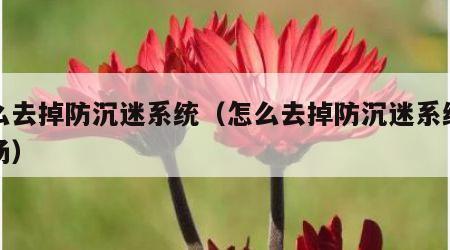 怎么去掉防沉迷系统（怎么去掉防沉迷系统海龟汤）