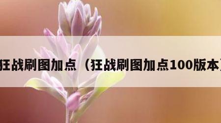 狂战刷图加点（狂战刷图加点100版本）