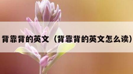 背靠背的英文（背靠背的英文怎么读）