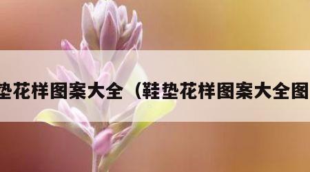 鞋垫花样图案大全（鞋垫花样图案大全图纸）