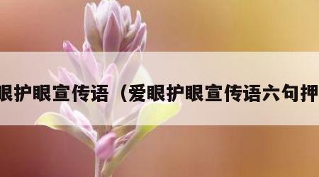 爱眼护眼宣传语（爱眼护眼宣传语六句押韵）