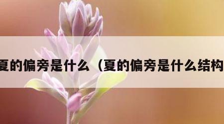 夏的偏旁是什么（夏的偏旁是什么结构）