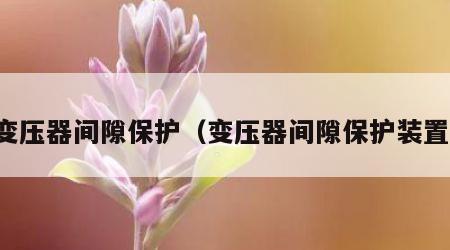 变压器间隙保护（变压器间隙保护装置）