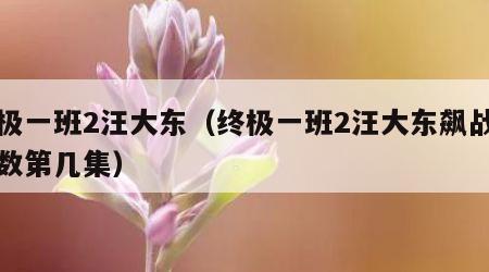 终极一班2汪大东（终极一班2汪大东飙战力指数第几集）