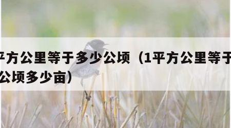 1平方公里等于多少公顷（1平方公里等于多少公顷多少亩）