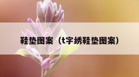 鞋垫图案（t字绣鞋垫图案）