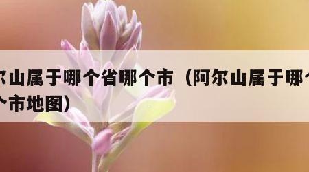 阿尔山属于哪个省哪个市（阿尔山属于哪个省哪个市地图）