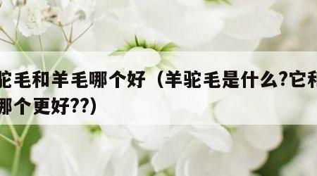 羊驼毛和羊毛哪个好（羊驼毛是什么?它和羊毛哪个更好??）