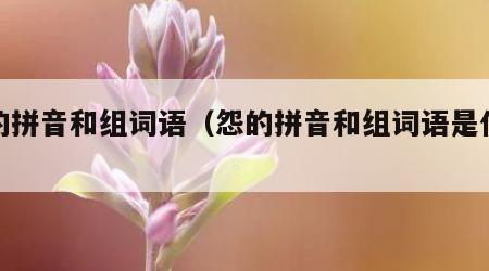 怨的拼音和组词语（怨的拼音和组词语是什么呢）