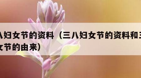 三八妇女节的资料（三八妇女节的资料和三八妇女节的由来）