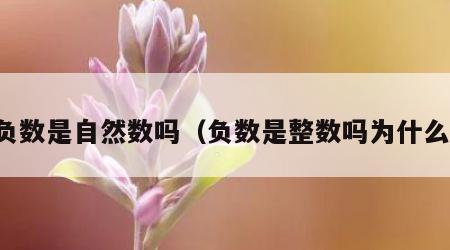 负数是自然数吗（负数是整数吗为什么）