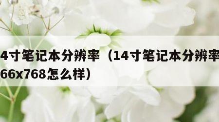 14寸笔记本分辨率（14寸笔记本分辨率1366x768怎么样）