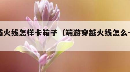 穿越火线怎样卡箱子（端游穿越火线怎么卡箱子）