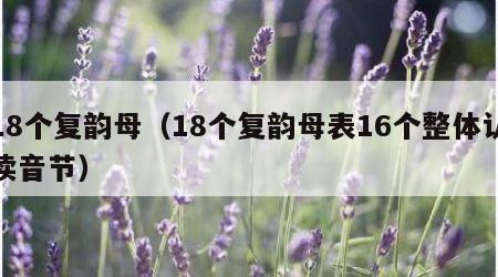 18个复韵母（18个复韵母表16个整体认读音节）