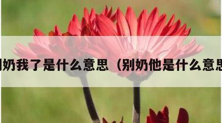 别奶我了是什么意思（别奶他是什么意思）