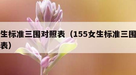 女生标准三围对照表（155女生标准三围对照表）