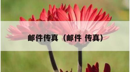 邮件传真（邮件 传真）