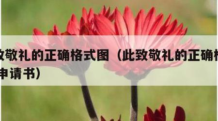 此致敬礼的正确格式图（此致敬礼的正确格式图 申请书）