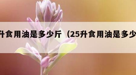 5升食用油是多少斤（25升食用油是多少斤）