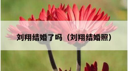 刘翔结婚了吗（刘翔结婚照）