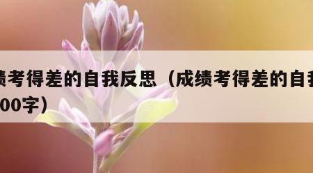 成绩考得差的自我反思（成绩考得差的自我反思800字）