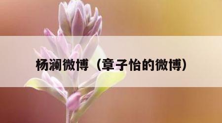 杨澜微博（章子怡的微博）