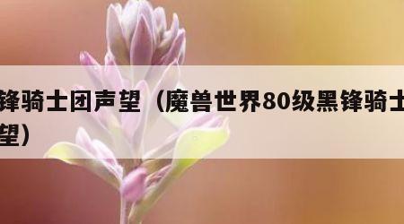 黑锋骑士团声望（魔兽世界80级黑锋骑士团声望）