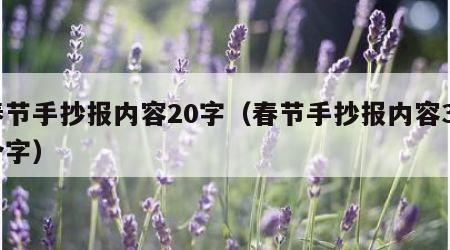 春节手抄报内容20字（春节手抄报内容30个字）