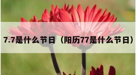 7.7是什么节日（阳历77是什么节日）