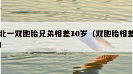 湖北一双胞胎兄弟相差10岁（双胞胎相差十岁）