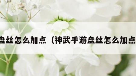 盘丝怎么加点（神武手游盘丝怎么加点）