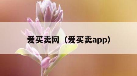 爱买卖网（爱买卖app）