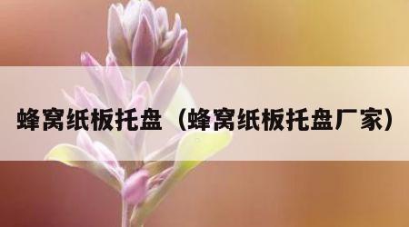 蜂窝纸板托盘（蜂窝纸板托盘厂家）