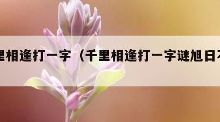 千里相逢打一字（千里相逢打一字谜旭日不出）