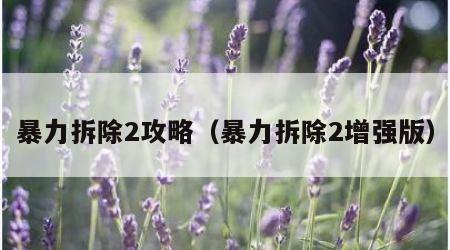 暴力拆除2攻略（暴力拆除2增强版）