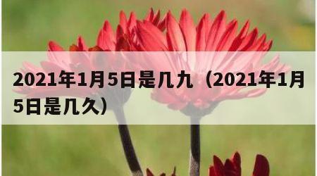 2021年1月5日是几九（2021年1月5日是几久）