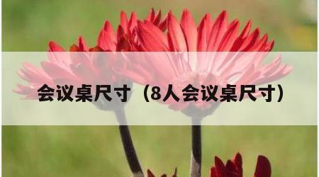 会议桌尺寸（8人会议桌尺寸）