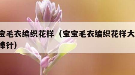 宝宝毛衣编织花样（宝宝毛衣编织花样大全 款棒针）