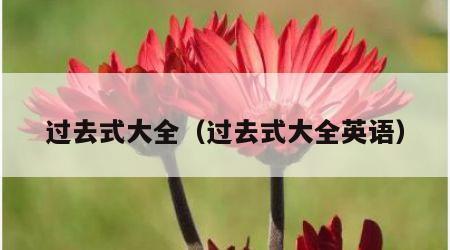 过去式大全（过去式大全英语）