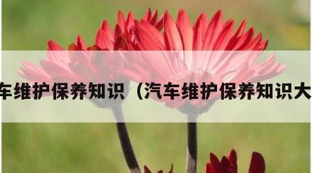 汽车维护保养知识（汽车维护保养知识大全）