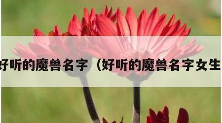 好听的魔兽名字（好听的魔兽名字女生）