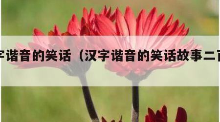 汉字谐音的笑话（汉字谐音的笑话故事二百字）