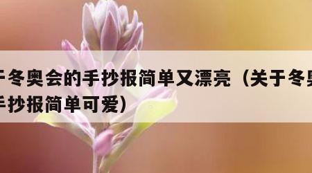 关于冬奥会的手抄报简单又漂亮（关于冬奥会的手抄报简单可爱）