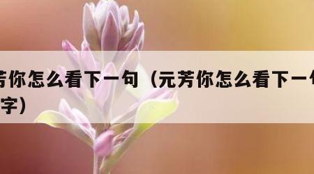 元芳你怎么看下一句（元芳你怎么看下一句接6个字）