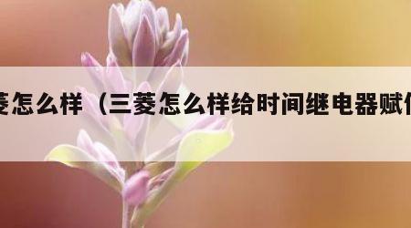 三菱怎么样（三菱怎么样给时间继电器赋值的）