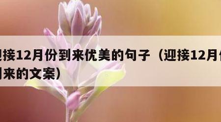 迎接12月份到来优美的句子（迎接12月份到来的文案）