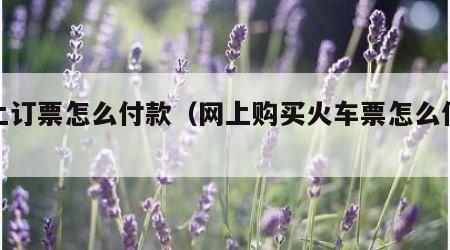 网上订票怎么付款（网上购买火车票怎么付款）