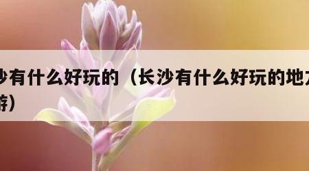 长沙有什么好玩的（长沙有什么好玩的地方一日游）